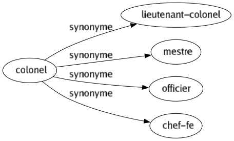 Synonyme de Colonel : Lieutenant-colonel Mestre Officier Chef-fe 