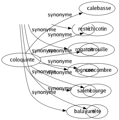 Synonyme de Coloquinte : Calebasse Chicotin Citrouille Concombre Courge Tête 