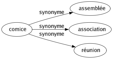 Synonyme de Comice : Assemblée Association Réunion 