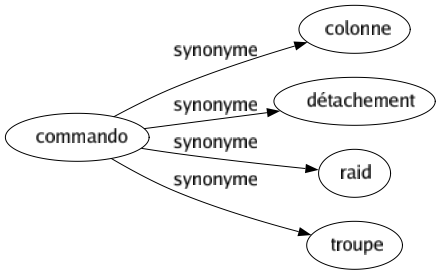 Synonyme de Commando : Colonne Détachement Raid Troupe 