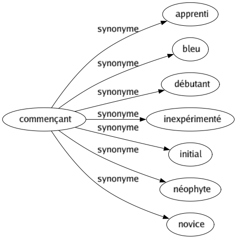 Synonyme de Commençant : Apprenti Bleu Débutant Inexpérimenté Initial Néophyte Novice 
