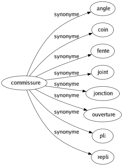Synonyme de Commissure : Angle Coin Fente Joint Jonction Ouverture Pli Repli 