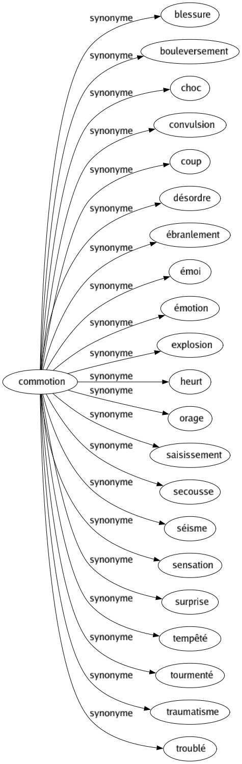 Synonyme de Commotion : Blessure Bouleversement Choc Convulsion Coup Désordre Ébranlement Émoi Émotion Explosion Heurt Orage Saisissement Secousse Séisme Sensation Surprise Tempêté Tourmenté Traumatisme Troublé 