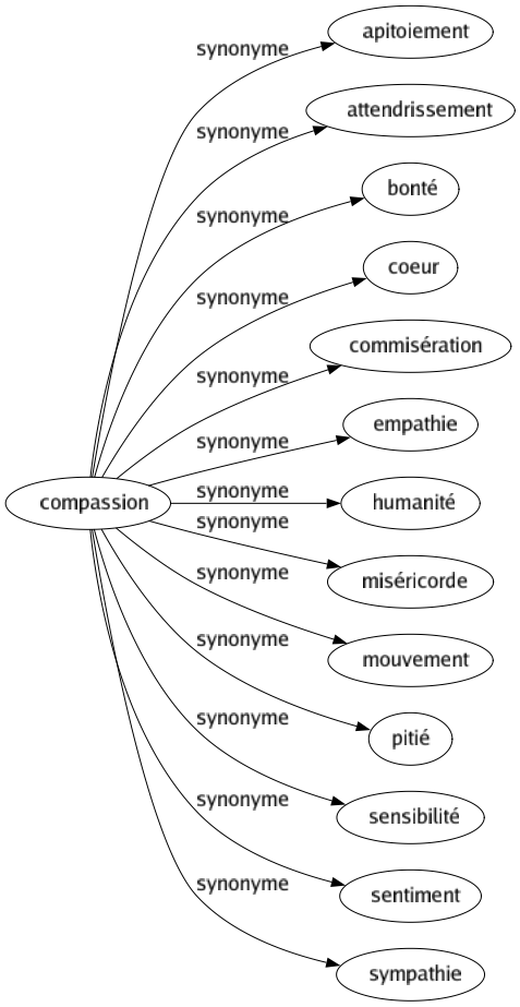 Synonyme de Compassion : Apitoiement Attendrissement Bonté Coeur Commisération Empathie Humanité Miséricorde Mouvement Pitié Sensibilité Sentiment Sympathie 