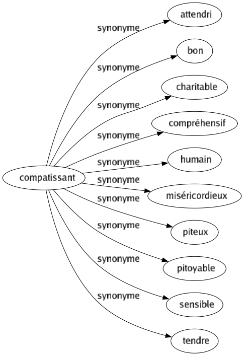 Synonyme de Compatissant : Attendri Bon Charitable Compréhensif Humain Miséricordieux Piteux Pitoyable Sensible Tendre 