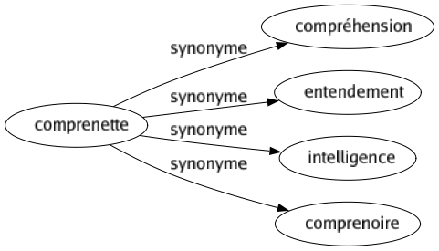 Synonyme de Comprenette : Compréhension Entendement Intelligence Comprenoire 
