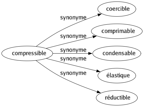Synonyme de Compressible : Coercible Comprimable Condensable Élastique Réductible 