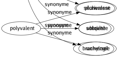 Synonyme de Concision : Brièveté Densité Fermeté Laconisme Netteté Précision Raccourci Sécheresse Sobriété Brachylogie 