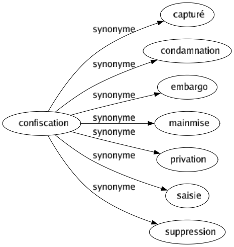 Synonyme de Confiscation : Capturé Condamnation Embargo Mainmise Privation Saisie Suppression 
