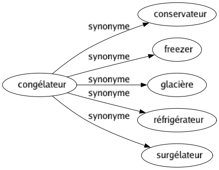 Synonyme de Congélateur : Conservateur Freezer Glacière Réfrigérateur Surgélateur 