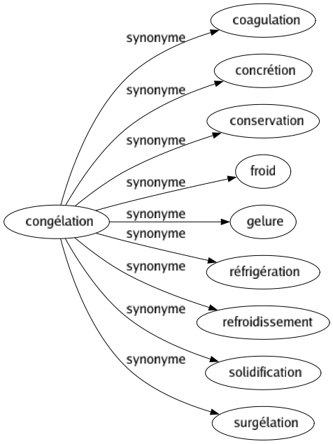 Synonyme de Congélation : Coagulation Concrétion Conservation Froid Gelure Réfrigération Refroidissement Solidification Surgélation 