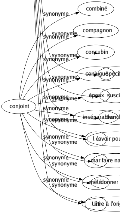 Synonyme de Conjoint : Combiné Compagnon Concubin Conjugué Époux Inséparable Lié Mari Mêlé Uni 