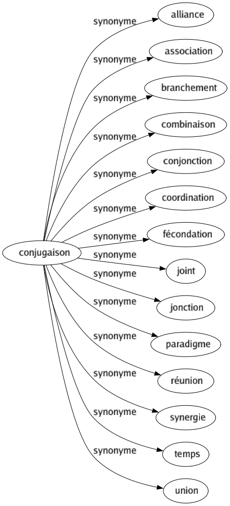 Synonyme de Conjugaison : Alliance Association Branchement Combinaison Conjonction Coordination Fécondation Joint Jonction Paradigme Réunion Synergie Temps Union 