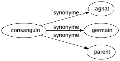 Synonyme de Consanguin : Agnat Germain Parent 