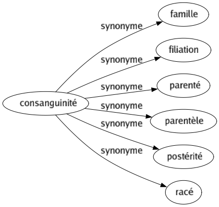 Synonyme de Consanguinité : Famille Filiation Parenté Parentèle Postérité Racé 