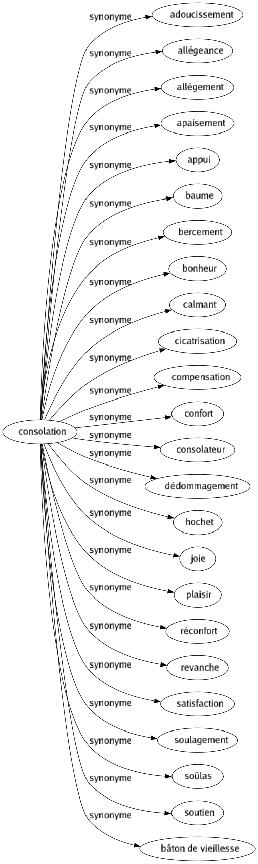 Synonyme de Consolation : Adoucissement Allégeance Allégement Apaisement Appui Baume Bercement Bonheur Calmant Cicatrisation Compensation Confort Consolateur Dédommagement Hochet Joie Plaisir Réconfort Revanche Satisfaction Soulagement Soûlas Soutien Bâton de vieillesse 