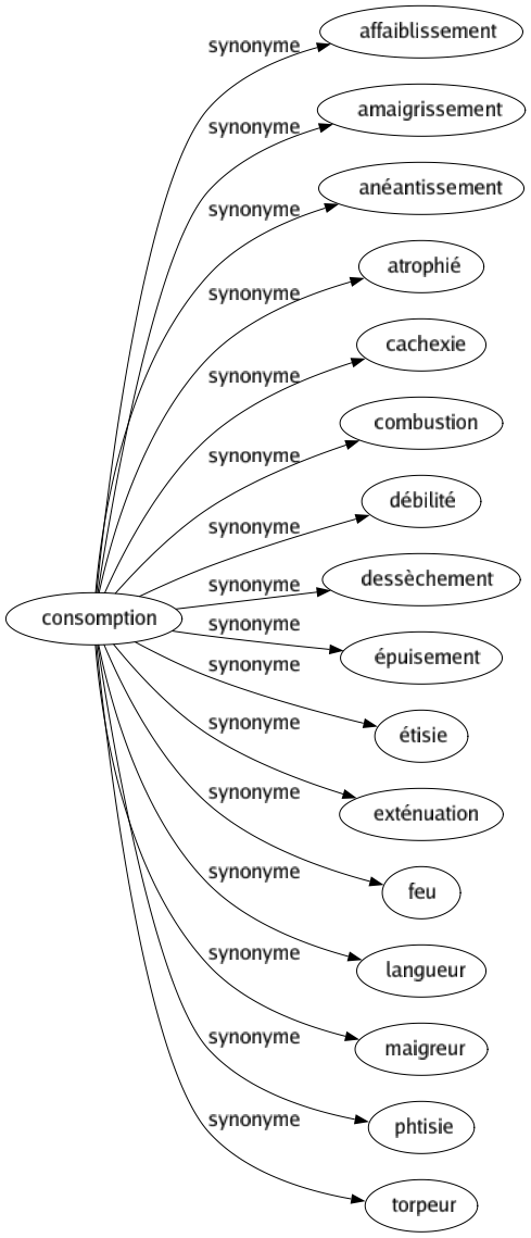 Synonyme de Consomption : Affaiblissement Amaigrissement Anéantissement Atrophié Cachexie Combustion Débilité Dessèchement Épuisement Étisie Exténuation Feu Langueur Maigreur Phtisie Torpeur 