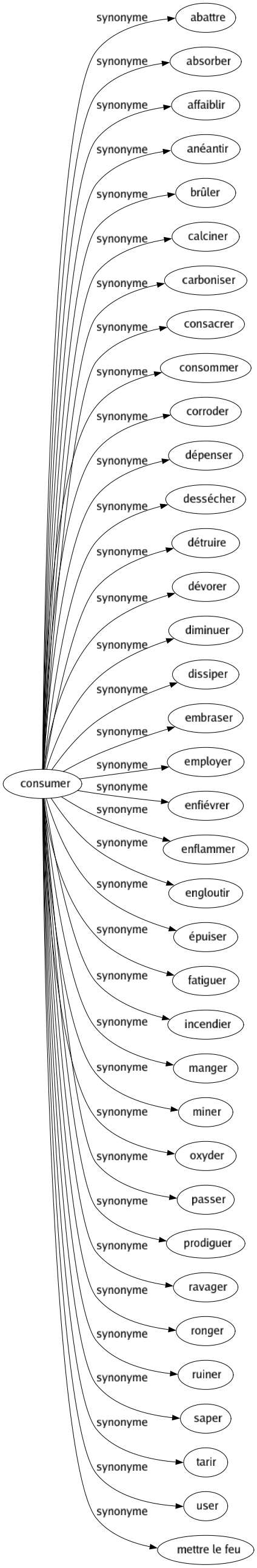 Synonyme de Consumer : Abattre Absorber Affaiblir Anéantir Brûler Calciner Carboniser Consacrer Consommer Corroder Dépenser Dessécher Détruire Dévorer Diminuer Dissiper Embraser Employer Enfiévrer Enflammer Engloutir Épuiser Fatiguer Incendier Manger Miner Oxyder Passer Prodiguer Ravager Ronger Ruiner Saper Tarir User Mettre le feu 