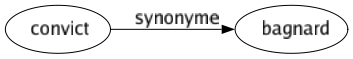 Synonyme de Convict : Bagnard 