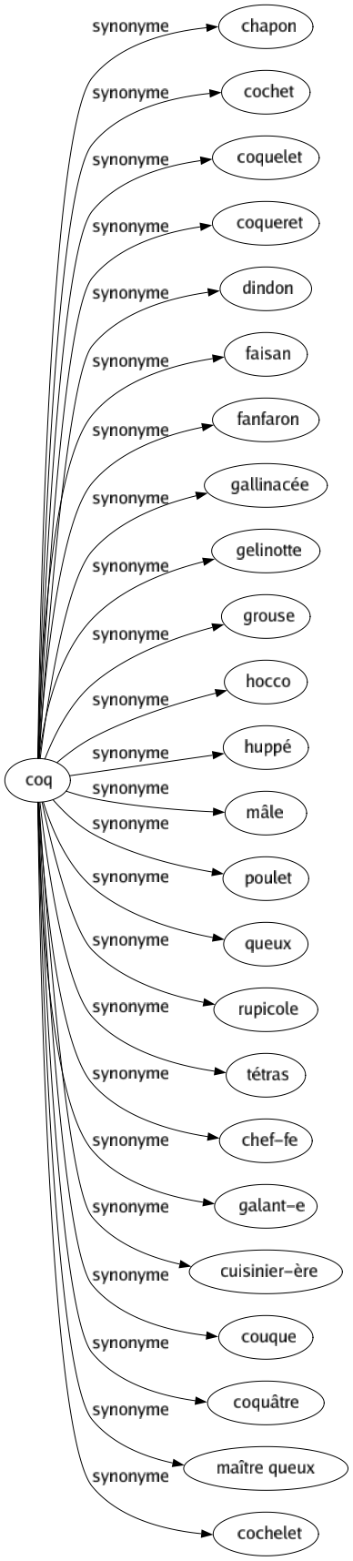 Synonyme de Coq : Chapon Cochet Coquelet Coqueret Dindon Faisan Fanfaron Gallinacée Gelinotte Grouse Hocco Huppé Mâle Poulet Queux Rupicole Tétras Chef-fe Galant-e Cuisinier-ère Couque Coquâtre Maître queux Cochelet 