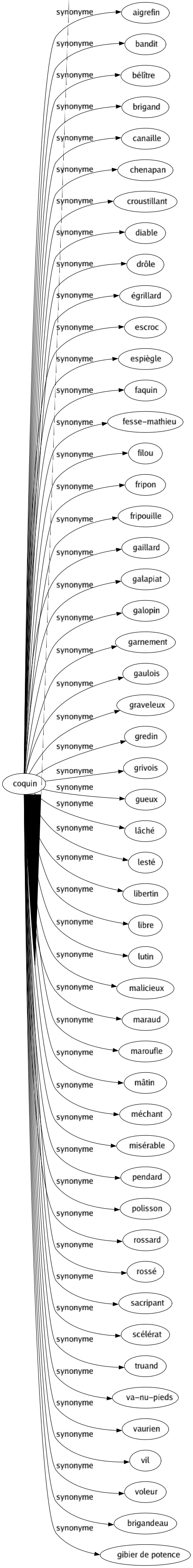 Synonyme de Coquin : Aigrefin Bandit Bélître Brigand Canaille Chenapan Croustillant Diable Drôle Égrillard Escroc Espiègle Faquin Fesse-mathieu Filou Fripon Fripouille Gaillard Galapiat Galopin Garnement Gaulois Graveleux Gredin Grivois Gueux Lâché Lesté Libertin Libre Lutin Malicieux Maraud Maroufle Mâtin Méchant Misérable Pendard Polisson Rossard Rossé Sacripant Scélérat Truand Va-nu-pieds Vaurien Vil Voleur Brigandeau Gibier de potence 