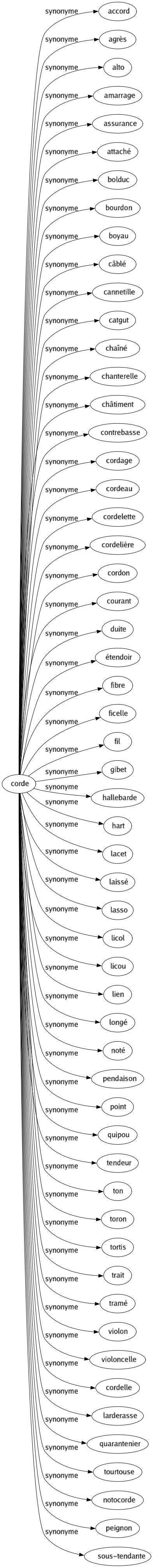 Synonyme de Corde : Accord Agrès Alto Amarrage Assurance Attaché Bolduc Bourdon Boyau Câblé Cannetille Catgut Chaîné Chanterelle Châtiment Contrebasse Cordage Cordeau Cordelette Cordelière Cordon Courant Duite Étendoir Fibre Ficelle Fil Gibet Hallebarde Hart Lacet Laissé Lasso Licol Licou Lien Longé Noté Pendaison Point Quipou Tendeur Ton Toron Tortis Trait Tramé Violon Violoncelle Cordelle Larderasse Quarantenier Tourtouse Notocorde Peignon Sous-tendante 
