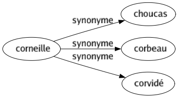 Synonyme de Corneille : Choucas Corbeau Corvidé 