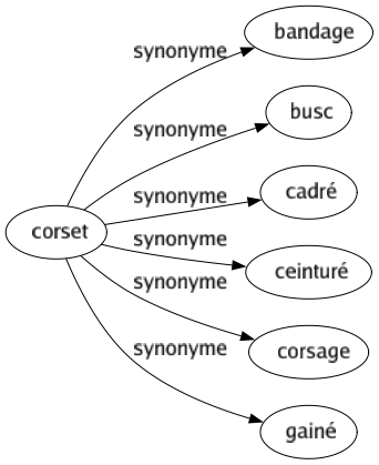 Synonyme de Corset : Bandage Busc Cadré Ceinturé Corsage Gainé 