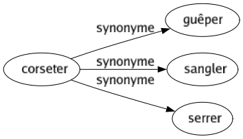 Synonyme de Corseter : Guêper Sangler Serrer 