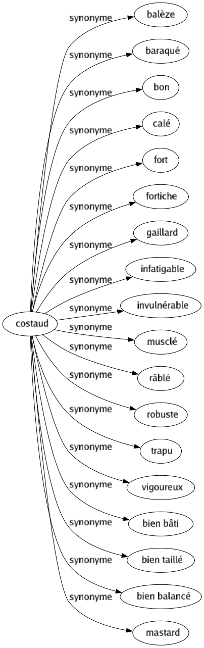 Synonyme de Costaud : Balèze Baraqué Bon Calé Fort Fortiche Gaillard Infatigable Invulnérable Musclé Râblé Robuste Trapu Vigoureux Bien bâti Bien taillé Bien balancé Mastard 