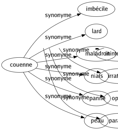 Synonyme de Couenne : Imbécile Lard Maladroit Niais Panne Peau 