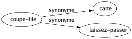 Synonyme de Coupe-file : Carte Laissez-passer 