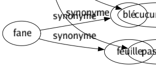 Synonyme de Courge : Citrouille Coloquinte Concombre Courgette Giraumont Gourde Idiot Luffa Pâtisson Potiron Zuchette Cucurbitacée Pastisson 