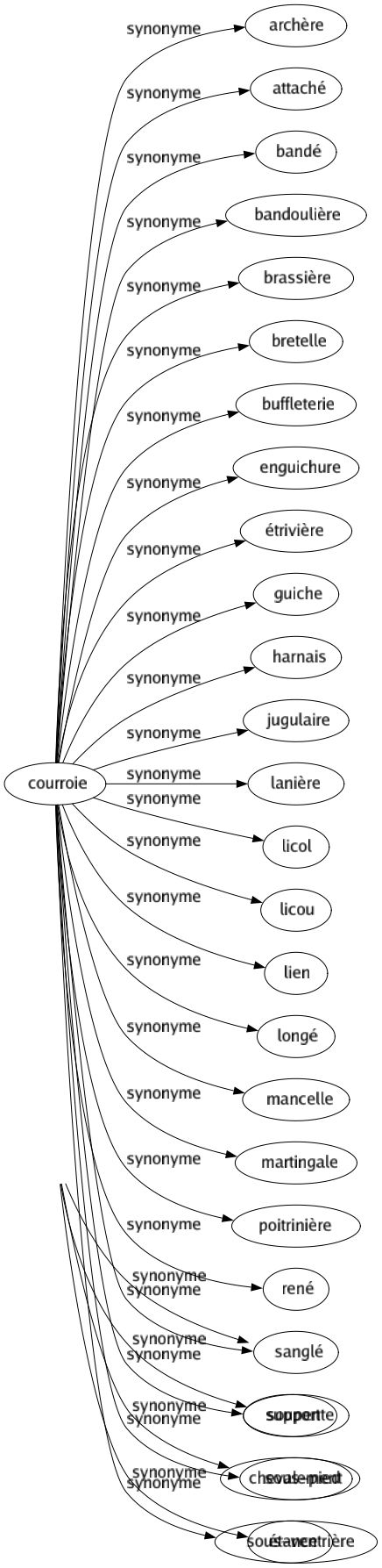 Synonyme de Courroie : Archère Attaché Bandé Bandoulière Brassière Bretelle Buffleterie Enguichure Étrivière Guiche Harnais Jugulaire Lanière Licol Licou Lien Longé Mancelle Martingale Poitrinière René Sanglé Soupente Sous-pied Sous-ventrière 