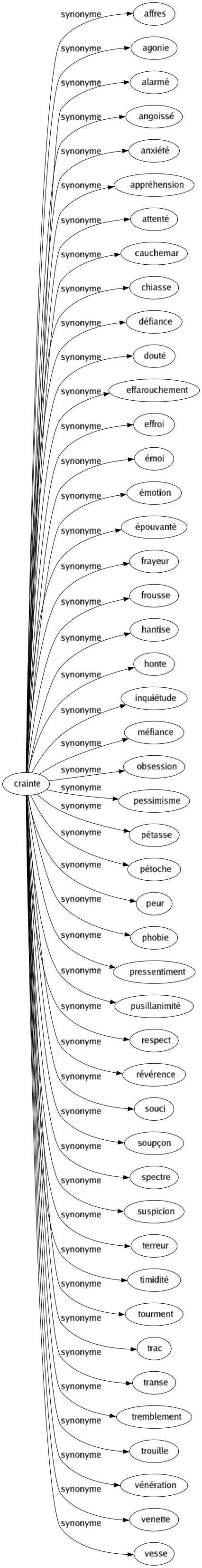 Synonyme de Crainte : Affres Agonie Alarmé Angoissé Anxiété Appréhension Attenté Cauchemar Chiasse Défiance Douté Effarouchement Effroi Émoi Émotion Épouvanté Frayeur Frousse Hantise Honte Inquiétude Méfiance Obsession Pessimisme Pétasse Pétoche Peur Phobie Pressentiment Pusillanimité Respect Révérence Souci Soupçon Spectre Suspicion Terreur Timidité Tourment Trac Transe Tremblement Trouille Vénération Venette Vesse 