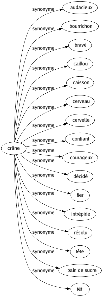 Synonyme de Crâne : Audacieux Bourrichon Bravé Caillou Caisson Cerveau Cervelle Confiant Courageux Décidé Fier Intrépide Résolu Tête Pain de sucre Têt 
