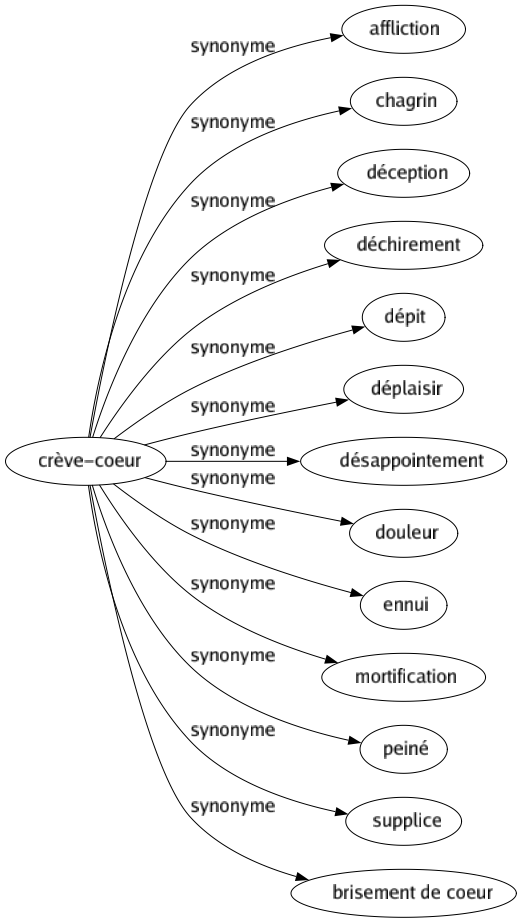 Synonyme de Crève-coeur : Affliction Chagrin Déception Déchirement Dépit Déplaisir Désappointement Douleur Ennui Mortification Peiné Supplice Brisement de coeur 