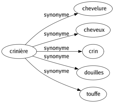 Synonyme de Crinière : Chevelure Cheveux Crin Douilles Touffe 