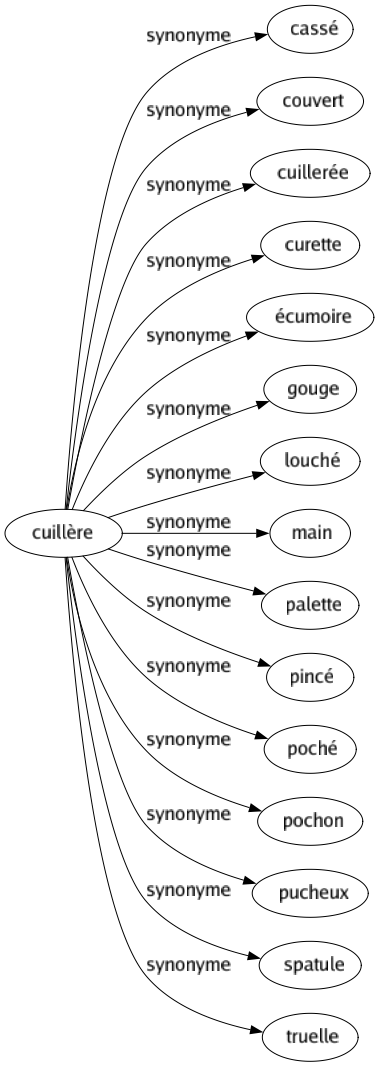 Synonyme de Cuillère : Cassé Couvert Cuillerée Curette Écumoire Gouge Louché Main Palette Pincé Poché Pochon Pucheux Spatule Truelle 