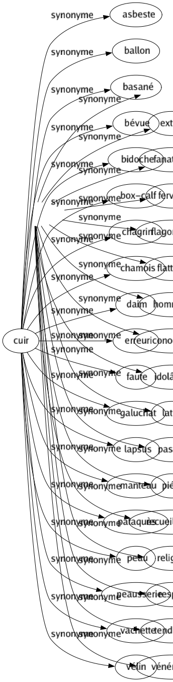 Synonyme de Cuir : Asbeste Ballon Basané Bévue Bidoche Box-calf Chagrin Chamois Daim Erreur Faute Galuchat Lapsus Manteau Pataquès Peau Peausserie Vachette Vélin 
