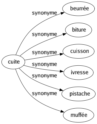 Synonyme de Cuite : Beurrée Biture Cuisson Ivresse Pistache Muffée 