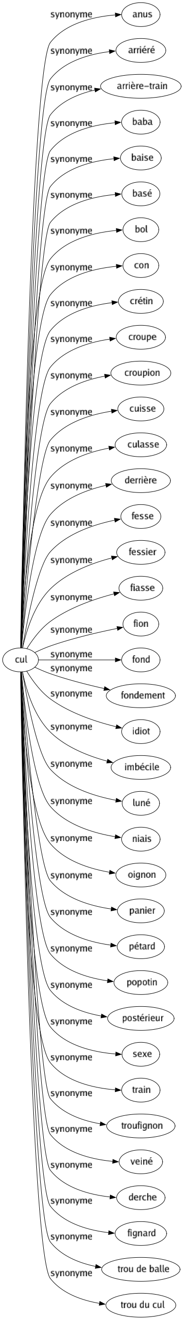 Synonyme de Cul : Anus Arriéré Arrière-train Baba Baise Basé Bol Con Crétin Croupe Croupion Cuisse Culasse Derrière Fesse Fessier Fiasse Fion Fond Fondement Idiot Imbécile Luné Niais Oignon Panier Pétard Popotin Postérieur Sexe Train Troufignon Veiné Derche Fignard Trou de balle Trou du cul 