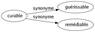 Synonyme de Curable : Guérissable Remédiable 