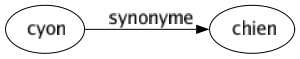 Synonyme de Cyon : Chien 