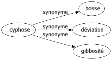 Synonyme de Cyphose : Bosse Déviation Gibbosité 