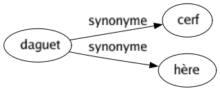 Synonyme de Daguet : Cerf Hère 