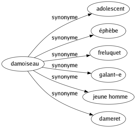 Synonyme de Damoiseau : Adolescent Éphèbe Freluquet Galant-e Jeune homme Dameret 