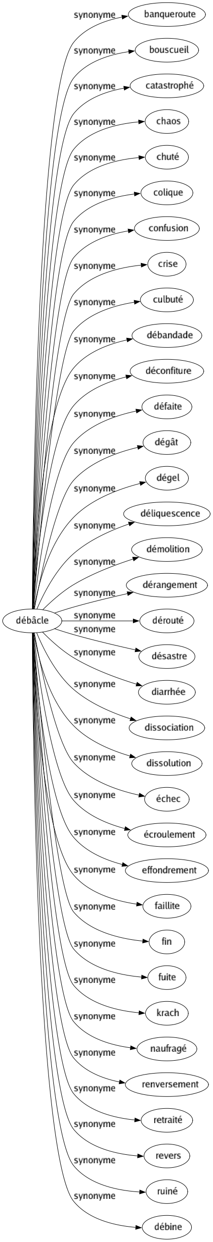 Synonyme de Débâcle : Banqueroute Bouscueil Catastrophé Chaos Chuté Colique Confusion Crise Culbuté Débandade Déconfiture Défaite Dégât Dégel Déliquescence Démolition Dérangement Dérouté Désastre Diarrhée Dissociation Dissolution Échec Écroulement Effondrement Faillite Fin Fuite Krach Naufragé Renversement Retraité Revers Ruiné Débine 