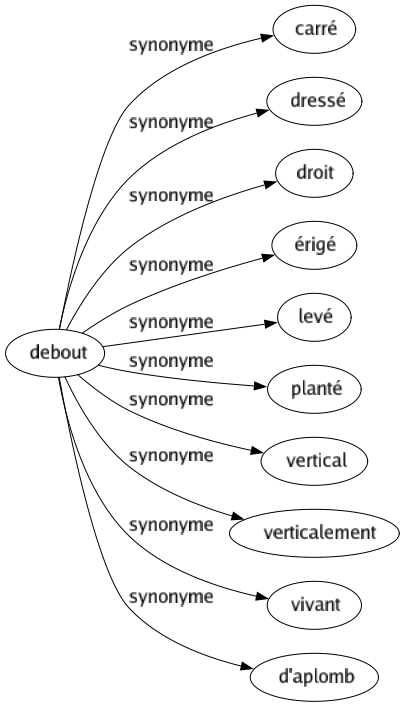 Synonyme de Debout : Carré Dressé Droit Érigé Levé Planté Vertical Verticalement Vivant D'aplomb 