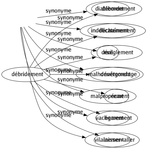 Synonyme de Débridement : Débordement Déchaînement Dérèglement Dévergondage Écart Égarement Laisser-aller 
